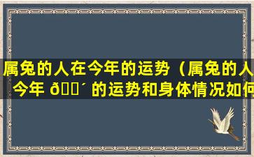 属兔的人在今年的运势（属兔的人今年 🌴 的运势和身体情况如何）